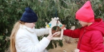 Поможем птицам!