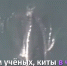 cover - Астрахань 24