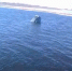 Фото: Скриншот с видео - KaspyInfo.Ru