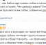 Школьница из Астрахани пострадала от стаи бродячих собак - Астрахань.Ру