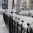 Фото: Е. Зимней - KaspyInfo.Ru