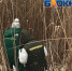 В астраханском поселке Морской ерик Дарма почернел от фекалий - Bloknot-Astrakhan.Ru