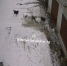 Screenshot_20230216_195603_VK - Сетевое издание Арбуз