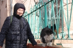 Закаленные в драках. Как живут коты в городе, полном собак 