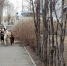 6754589 - Сетевое издание Арбуз