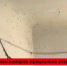 Screenshot_20230306_033522_VK - Сетевое издание Арбуз