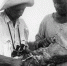 Историческое фото: кольца для пернатых - Астраханский заповедник