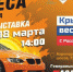 В Астраханской области пройдёт автомотовыставка «4 колеса» - Астрахань 24
