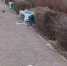 2023-03-24_11-13-083 - Сетевое издание Арбуз