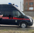 Экспертиза установила причину смерти погрызенной собаками астраханки - Астрахань.Ру