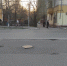 Screenshot_20230404_203139_VK - Сетевое издание Арбуз