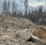 В Волгограде инспекторы Росприроднадзора выявили факт несанкционированного складирования отходов на почве - Росприроднадзор