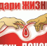 d03ce96c-f8d7-47d4-a69e-9f7b6214279a.jpg - ДГП №4