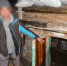 neQ_tvci-go-800×600 - Сетевое издание Арбуз