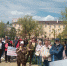 Астраханцы провели уже четвертый митинг против бездомных собак - Астраханский листок