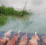Астраханцы рассказали о любимых летних блюдах - Астрахань.Ру