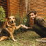 lovely-dog-posing-in-the-garden - Сетевое издание Арбуз