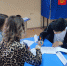 В структурных подразделениях СПО АГАСУ выбрали новых председателей студсоветов - Архитектурно-строительный университет