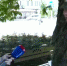 2023-05-22_18-46-12 - Сетевое издание Арбуз