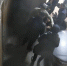 За один удар астраханцу житель Дагестана может надолго отправиться в колонию - Сетевое издание Арбуз