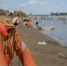 Некоторых астраханцев принудительно отправляют в отпуск - Астрахань 24