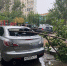 Непогода стала причиной массовых происшествий в Астрахани и районах региона - Астрахань.Ру