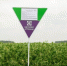 В Астраханской области пройдёт День поля - Астрахань 24
