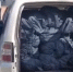 Астраханским бойцам отправили спальники с особым утеплением - Bloknot-Astrakhan.Ru