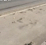 Фото: скриншот из видеоролика от астраханского отделения «Народного Фронта» - Bloknot-Astrakhan.Ru