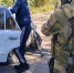 Плечом к плечу - ЛДПР