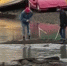 В центре Астрахани рыбаки выудили очень крупный трофей - Астрахань.Ру