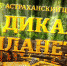Астраханский цирк приглашает на шоу «Дикая планета» - Астрахань 24