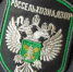 В Астраханской области обнаружена рыба — путешественница во времени - Астрахань 24