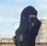 hecjclnukCeZwdC-800×450-noPad - Сетевое издание Арбуз