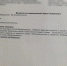 Астраханские волонтеры рассказали подробности о щенке, изувеченном подростками - Punkt-a.info