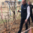 Пусть ваш двор станет краше: в Астрахани стартовала новая акция по благоустройству, которую инициировал Игорь Седов - Punkt-a.info