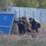 Под Астраханью прошёл открытый чемпионат по лазерному бою - Астрахань 24