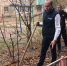 Игорь Седов помогает астраханцам озеленять дворы - Bloknot-Astrakhan.Ru