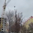 vlcsnap-2023-11-16-16h01m26s092 - Сетевое издание Арбуз