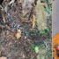 Двое иностранцев попались в Астрахани на распространении «синтетики» - Ast-News.Ru