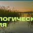 В Астрахани пройдёт экосубботник федерального проекта «Другое Дело» - Портал органов государственной власти