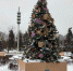 Астраханская область представила свою елку в Москве - Научно-методический центр народной культуры