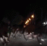 В Астрахани автомобиль чуть не врезался в табун лошадей на дороге - Астрахань.Ру