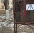 photo1702186568 (1).jpeg - Южная Волна