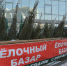 В парке «Аркадия» устанавливают главную городскую ёлку - Администрация города