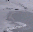 cover - Астрахань 24