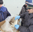 рыба россельхознадзор - Сетевое издание Арбуз