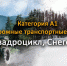 С водительским удостоверением теперь можно управлять
 квадроциклом и  снегоходом. - Служба государственного технического надзора