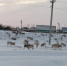 WhatsApp-Image-2024_01_16-at-15.40.41 - Сетевое издание Арбуз