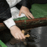 В Астрводоканале опубликовали график подвоза воды к храмам - Астраханский листок